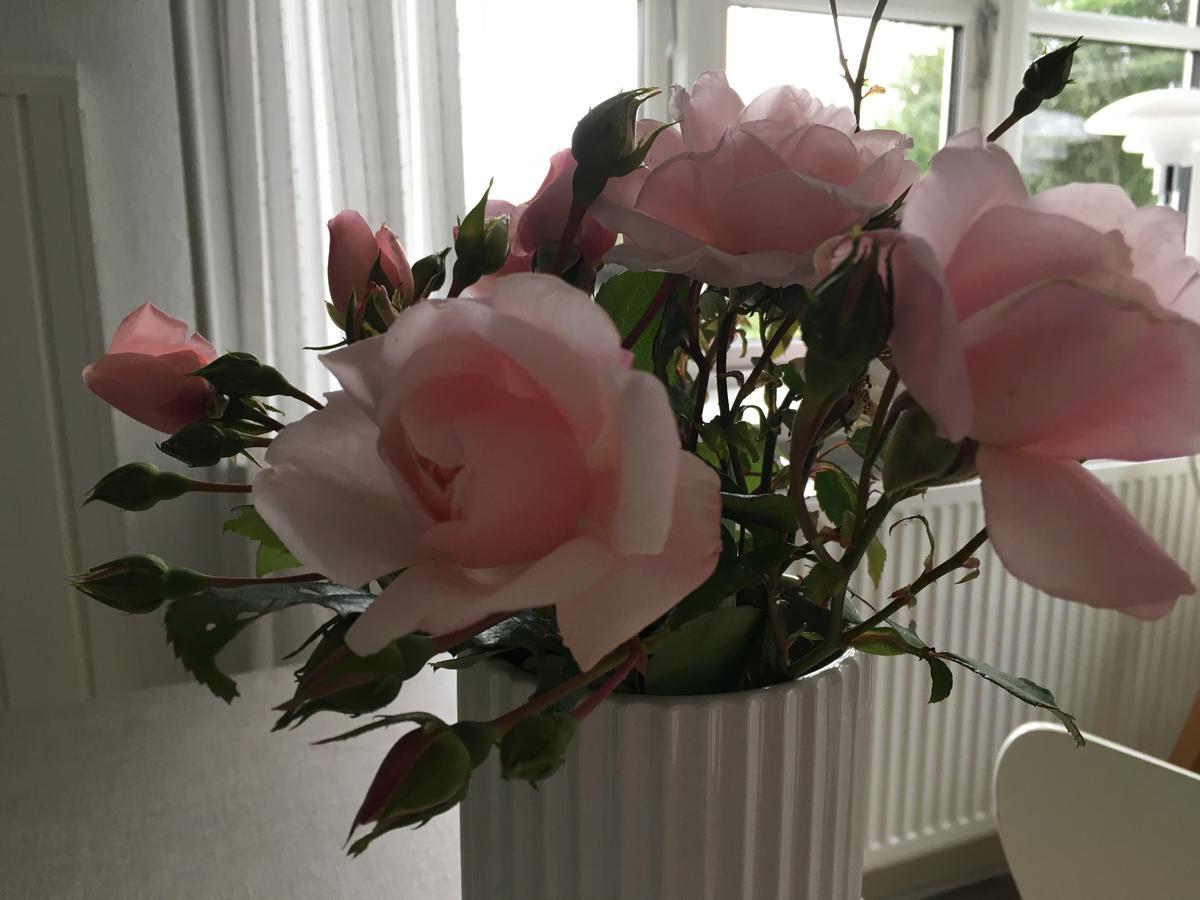 Heltoften Bed&Breakfast Nykobing Mors Eksteriør bilde